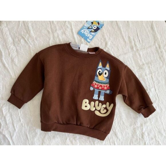 Zara Other - Bluey Sweatshirt Zara Size 12-18 Months NWT